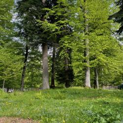 Фото Отель Снега