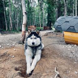 Фото Отель Парк активного отдыха Северное Сияние