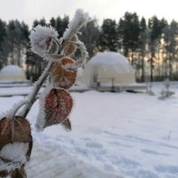Фото Отель Ива Спа