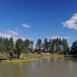 Фото Отель Гостевой дом Окулова Заимка