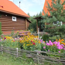 Фото Отель Подсолнух