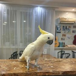 Фото Отель Белый Орел