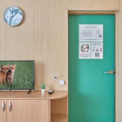 Комната стандарт