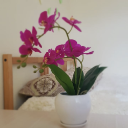 Фото Хостел Дружба