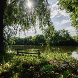 Фото Отель Озерки