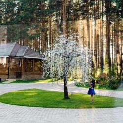 Фото Отель Княжья речка