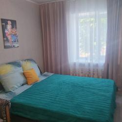 Апартаменты эконом советская 108