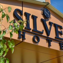 Фото Отель Сильвер