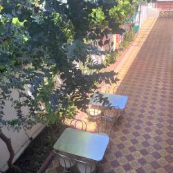 Фото Отель Дельфинчик