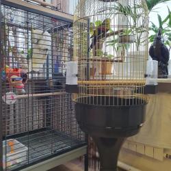 Фото Отель Белый Орел