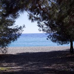 Фото Отель Апсара (Apsara)