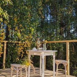 Фото Отель Ива Спа