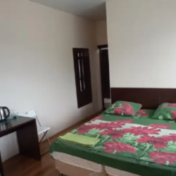 Фото Отель Сакартвело