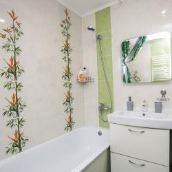 3-комнатные апартаменты люкс (мансарда)