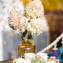 Коттедж стандарт Слизерин