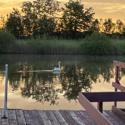 Фото Отель Золотой сазан