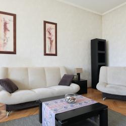 фото 6 RentDaySpb (РэнтДэйСпб) на улице Радищева