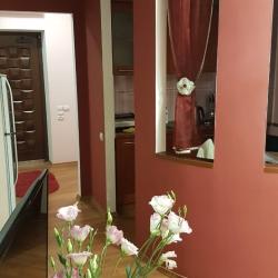 1-комнатные апартаменты студия с 1 двуспальной кроватью Красный