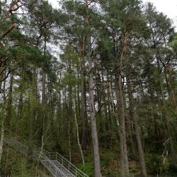 Фото Апартаменты Apart-Deluxe Легенды Моря на Майском проезде