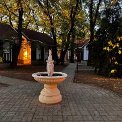 Фото Парк-отель Нобель