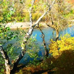 Фото Отель Аллюр