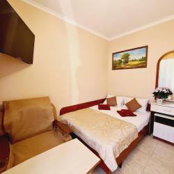 Фото Отель Золотой лев