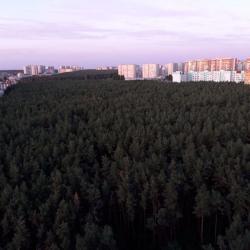 1-комнатные апартаменты стандарт бульвар Победы, 50В