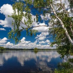 Фото Отель Valday Hunting & Country Club (Валдай Хантинг & Кантри Клаб)
