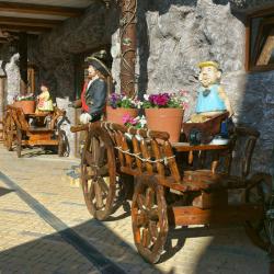 Фото Отель Роман