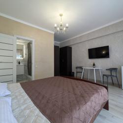 2-местный 1-комнатный номер стандарт комфорт с 1 двуспальной кроватью