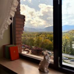 Номер делюкс двухуровневый с 1 двуспальной кроватью