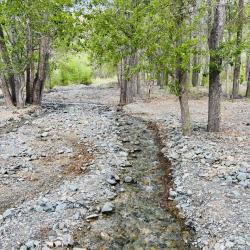 Фото Отель Софийская поляна