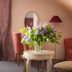 Фото Отель Серый Гусь