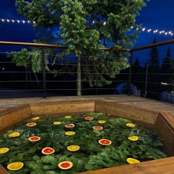 Фото Отель Гостевой дом Harmonia (Гармония)