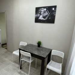 1-комнатные апартаменты стандарт Карла Либкнехта 112