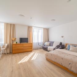 1-комнатные апартаменты стандарт Готвальда 24/5 4 эт