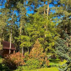 фото 6 Forto Ranta Park Hotel (Форто Ранта)