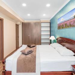 Номер люкс с 1 двуспальной кроватью 2 (215)