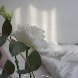 Фото Апартаменты на проспекте Красной Армии 206