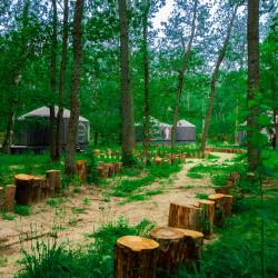 Фото Отель Лесная база «Папоротник»