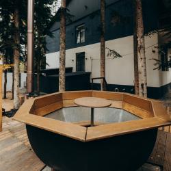 Фото Отель Dombay Winter Hall (Винтер Холл)