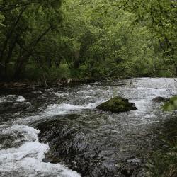 Фото Отель Шале Дача