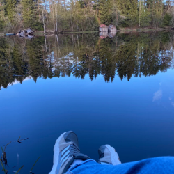 Фото Отель Алавойне