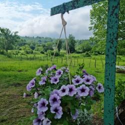 Фото Отель База отдыха Страна души