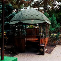 Эдельвейс — 0582fe37b53e147334d5f5bee0311202