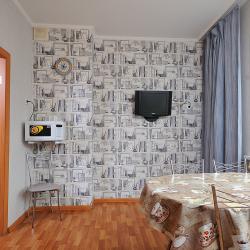 Фото Апартаменты на улице Волховстроя 94