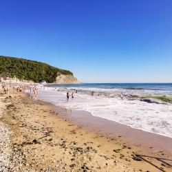 Фото Отель Золотой Берег