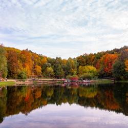 Фото Апартаменты на улице Академика Сахарова 97 корпус 2