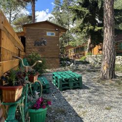 Фото Отель Тайга-House (Хаус)