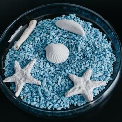 Фото Отель Круиз